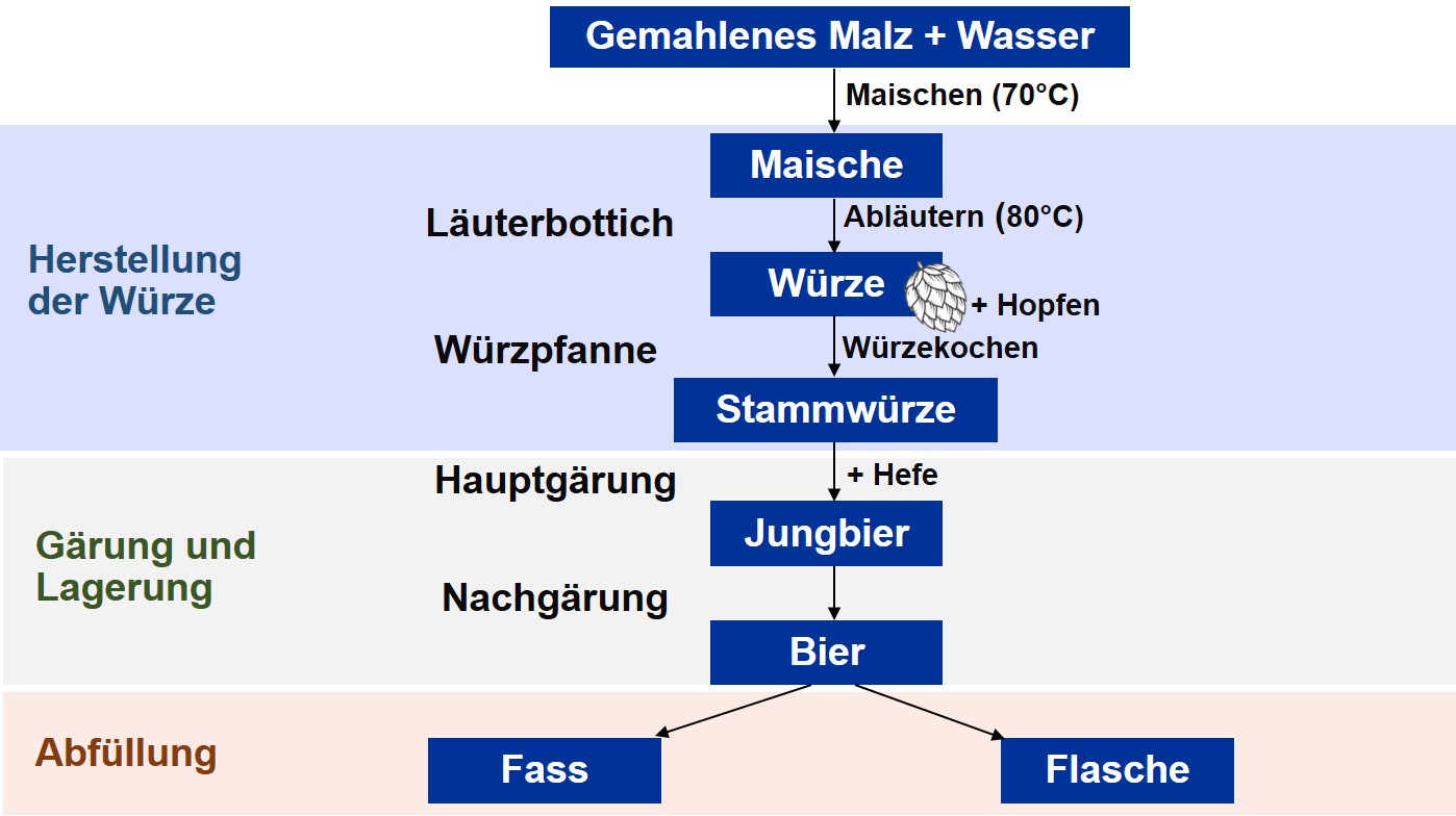 Fließdiagramm mit Darstellung der einzelnen Prozessschritte der Bierherstellung von den Rohstoffen bis zur Abfüllung des Bieres